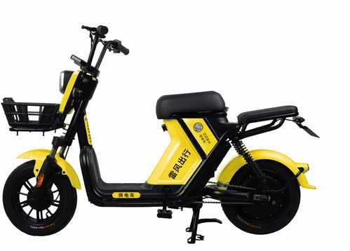 專業(yè)服務(wù)于外賣行業(yè)的電動(dòng)車租賃商 雷風(fēng)