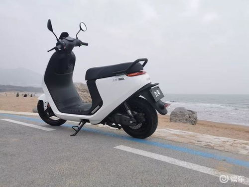 實(shí)測(cè)九號(hào)電動(dòng)車e100,看它是如何把小牛拍暈在沙灘上的