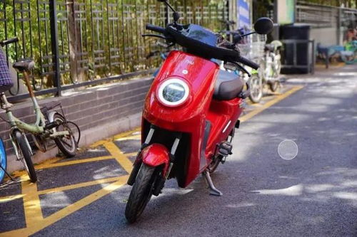 只有c1駕照不能騎電動(dòng)車 別再被忽悠了,這3類電動(dòng)車可以隨便騎