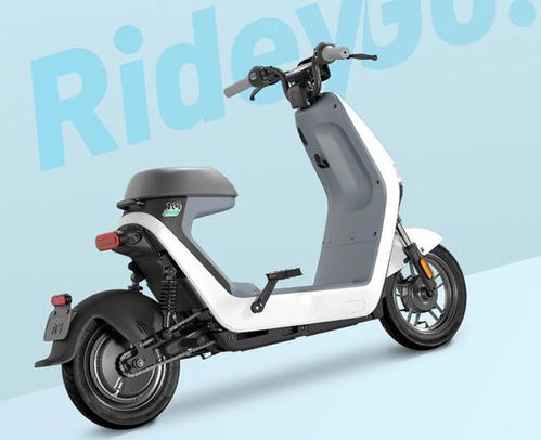 2021年被稱為 網紅 的5款電動車,小牛g260排名第一