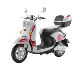 – 全球電動車網