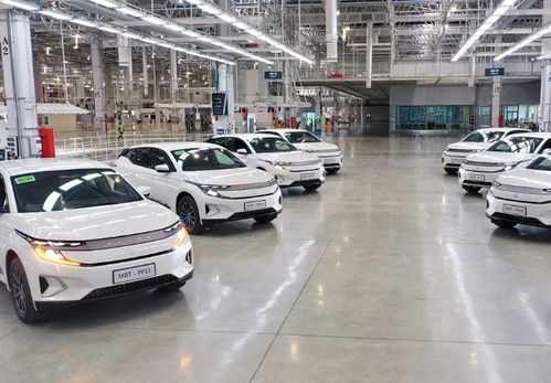 創始人戴雷被離職,拜騰 另起爐灶 明年能否順利量產