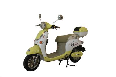 賽湖牌電動(dòng)車SHTY-4820-H2