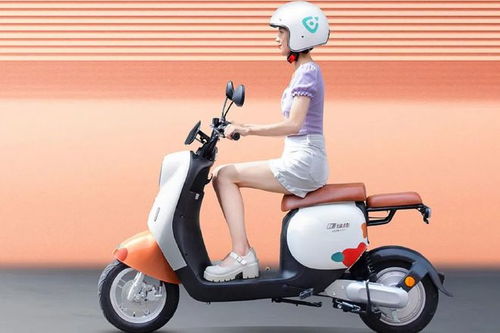 才知道,現(xiàn)在買電動車,哪些資質(zhì)缺一不可 什么價位性價比更高