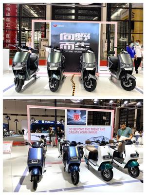 鼎定廣西,展望東盟!五星鉆豹全矩陣豹品再獲西南市場高度認可!