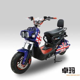 福州卓瑪電動車價格 卓瑪電動車多少錢 刀鋒供,福州卓瑪電動車價格 卓瑪電動車多少錢 刀鋒供生產廠家,福州卓瑪電動車價格 卓瑪電動車多少錢 刀鋒供價格