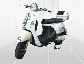 – 全球電動車網