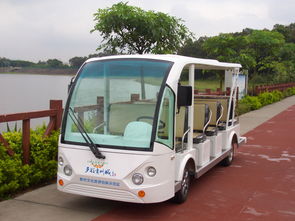 熱烈祝賀多彩貴州項目用我司豪華觀光車