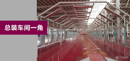 泰山腳下驚現年產20萬輛微型電動汽車超級工廠,是誰如此豪橫