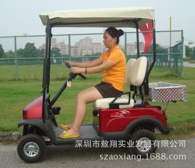 敖翔四輪家用代步電動車2座AX-D2廠家直銷圖片|敖翔四輪家用代步電動車2座AX-D2廠家直銷產品圖片由深圳市敖翔實業發展公司生產提供-