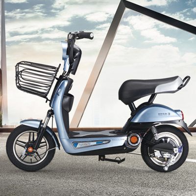 浙江特萊維獅電動車