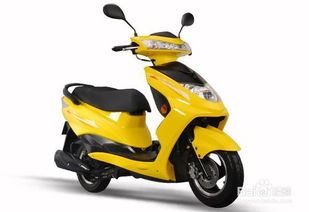 電動車有燈亮但不走怎么辦