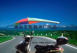 電動車晴雨傘 ,湖南省衡陽市衡東縣吳集制傘廠