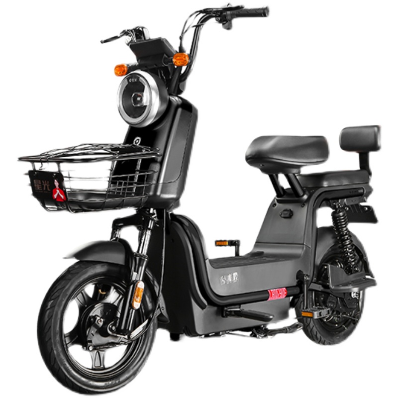 星光新國標電動車成人電動自行車石墨烯長續航男女電瓶車金箭制造