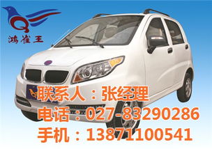 鴻雀王電動(dòng)車規(guī)模,鴻雀王電動(dòng)車廠家,山西鴻雀王